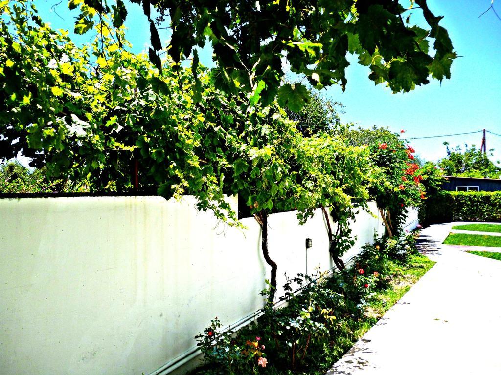 Sunlight Studios Theologos  Ngoại thất bức ảnh